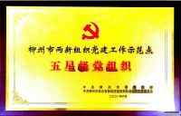 2021年9月廣西魯板科技集團五星黨組織授匾儀式